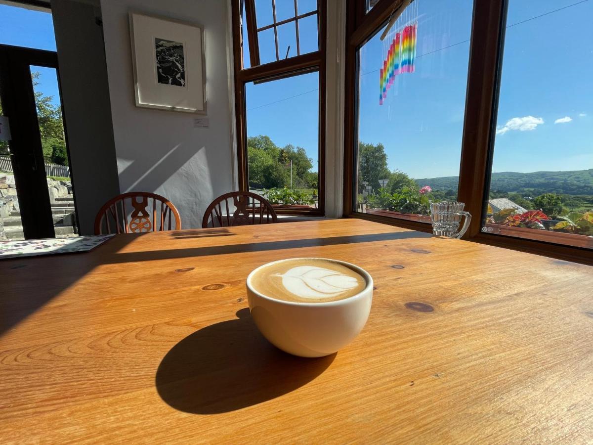 Y Llew Coch Bed & Breakfast Conwy Exterior photo